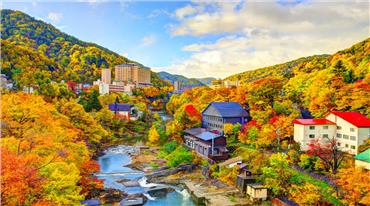 (Cập nhật 2025) Top Những Địa Điểm Ngắm Mùa Lá Đỏ Ở Tokyo Nhật Bản